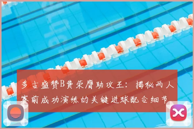 多古盛赞B费荣膺助攻王:揭秘两人赛前成功演练的关键进球配合细节